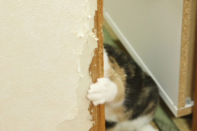 賃貸の退去時に破損した部分は入居者さん負担です。