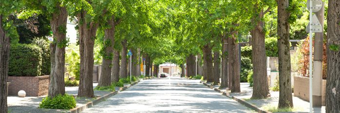 ホームズ 首都圏版 関東 治安がいい街ランキング 住まいのお役立ち情報