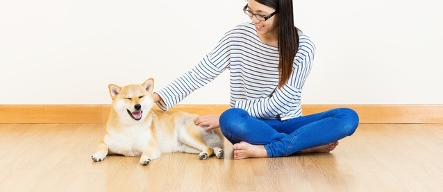 ホームズ フローリングの部屋で愛犬を飼う際の注意点と対策方法 住まいのお役立ち情報