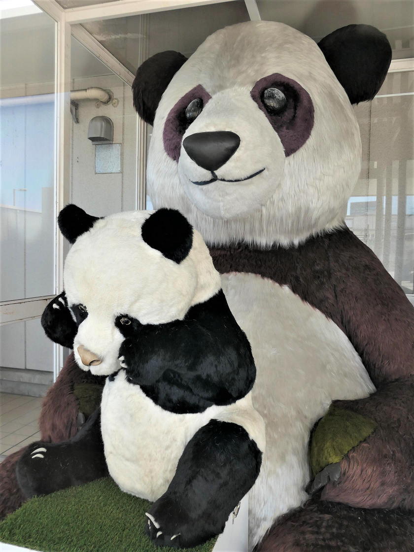 ホームズ 山手線の魅力を探る 上野駅 3 動物園の駅 アートの森の駅 駅構内の見どころ散歩 住まいのお役立ち情報 ホームズ 山手線の魅力を探る 上野駅 3 動物園の駅 アートの森の駅 駅構内の見どころ散歩 住まいのお役立ち情報