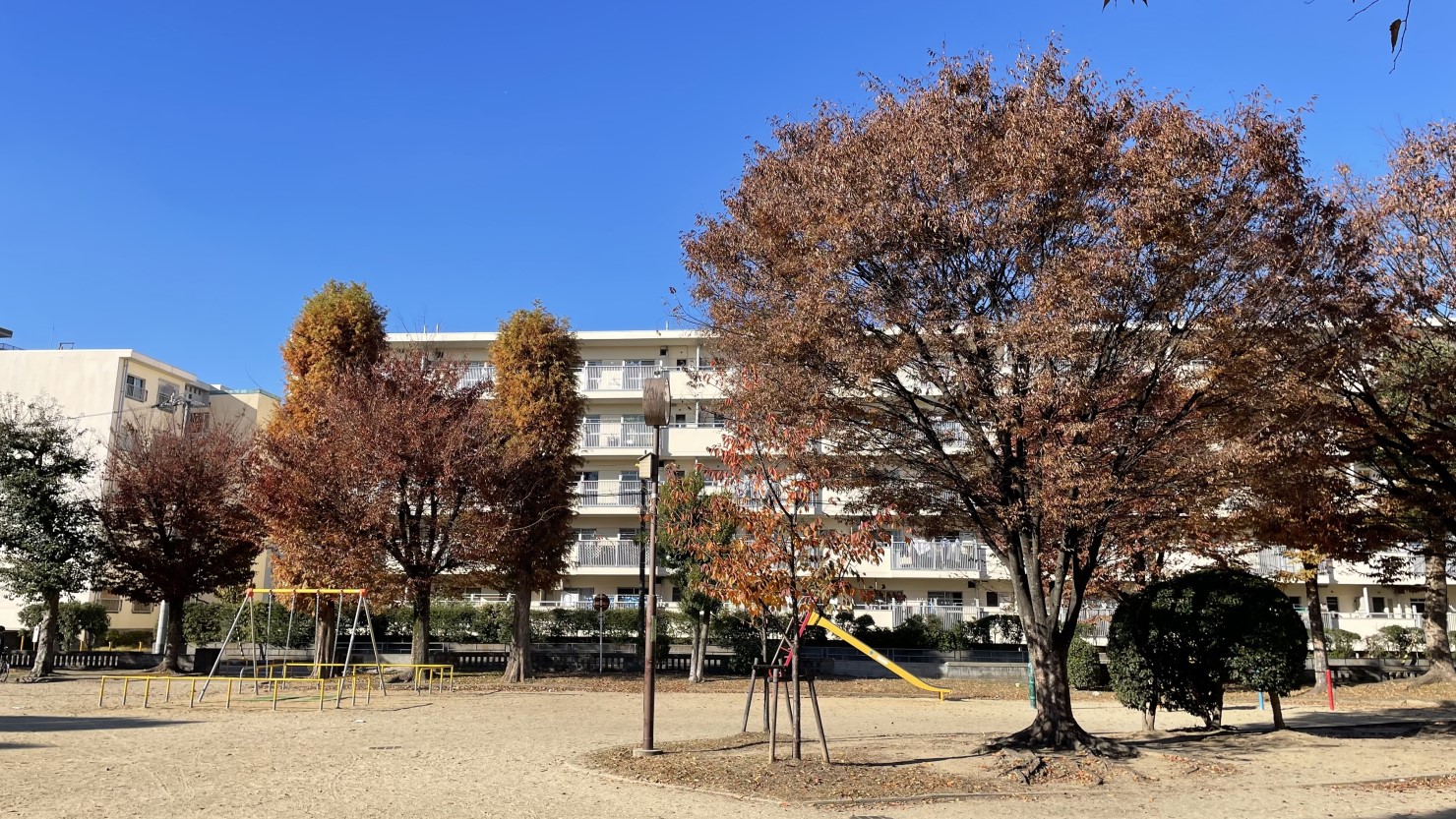 自然豊かな菅中児童遊園は敷地も広くてゆっくり過ごせる
