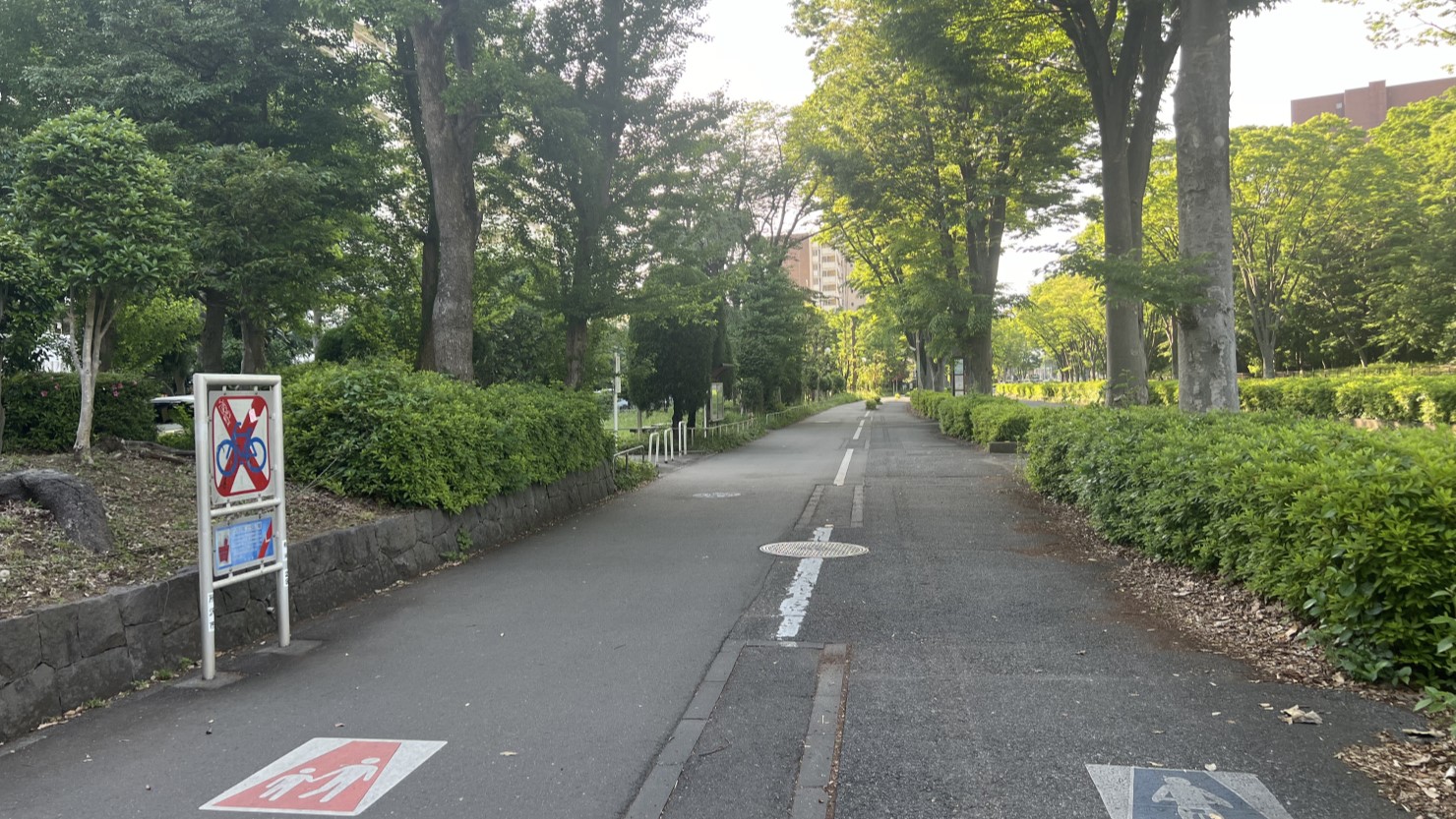 航空公園駅周辺の広々とした歩行者・自転車専用道路
