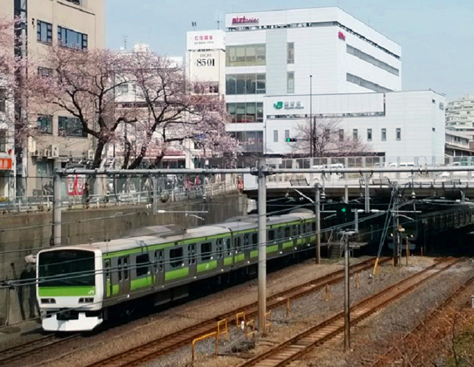 巣鴨駅（写真奥の白い建物）に向かう山手線外回り電車