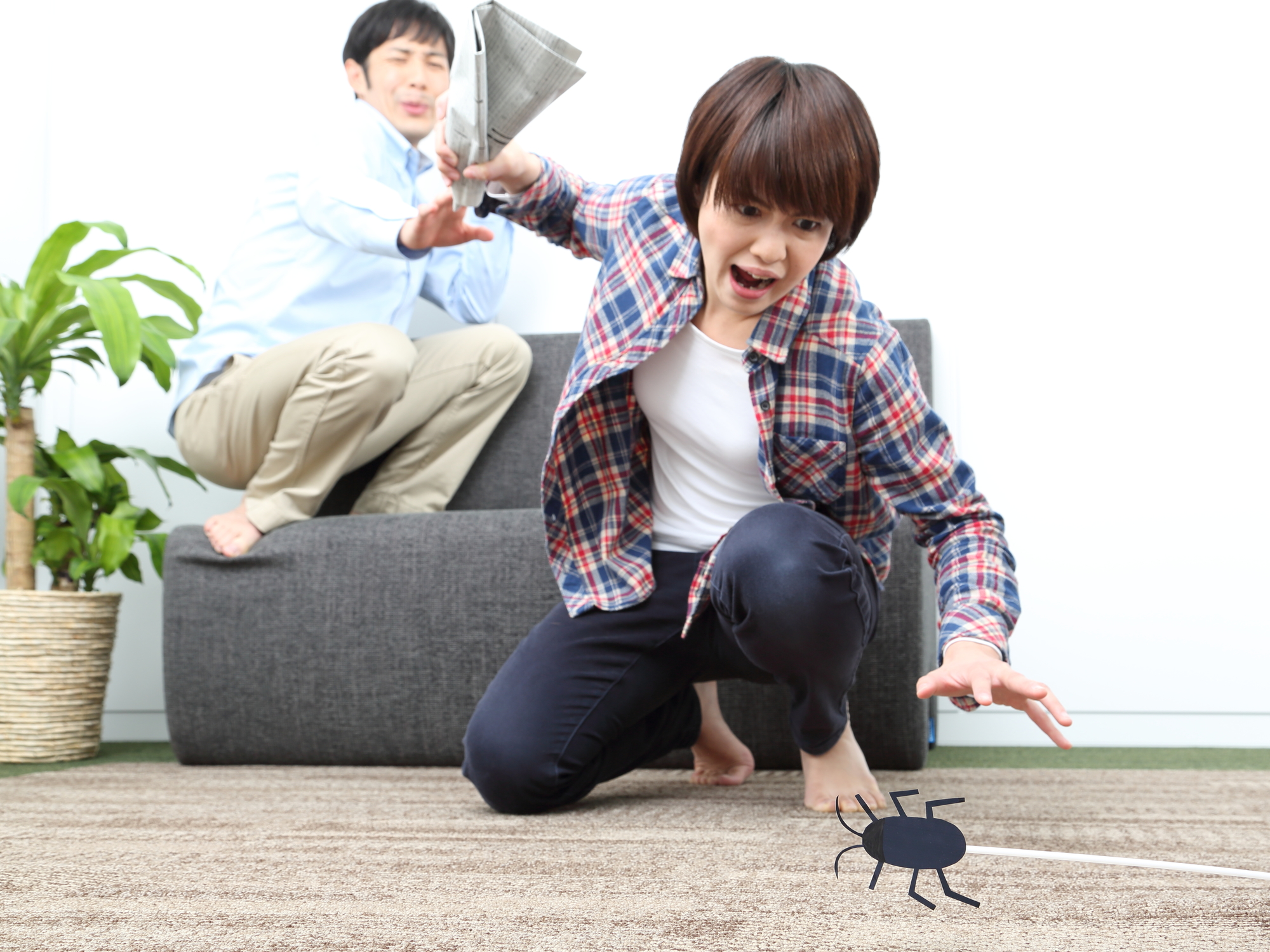 ホームズ これで解決 ゴキブリを部屋に侵入させない方法 住まいのお役立ち情報 ホームズ これで解決 ゴキブリを部屋に侵入させない方法 住まいのお役立ち情報