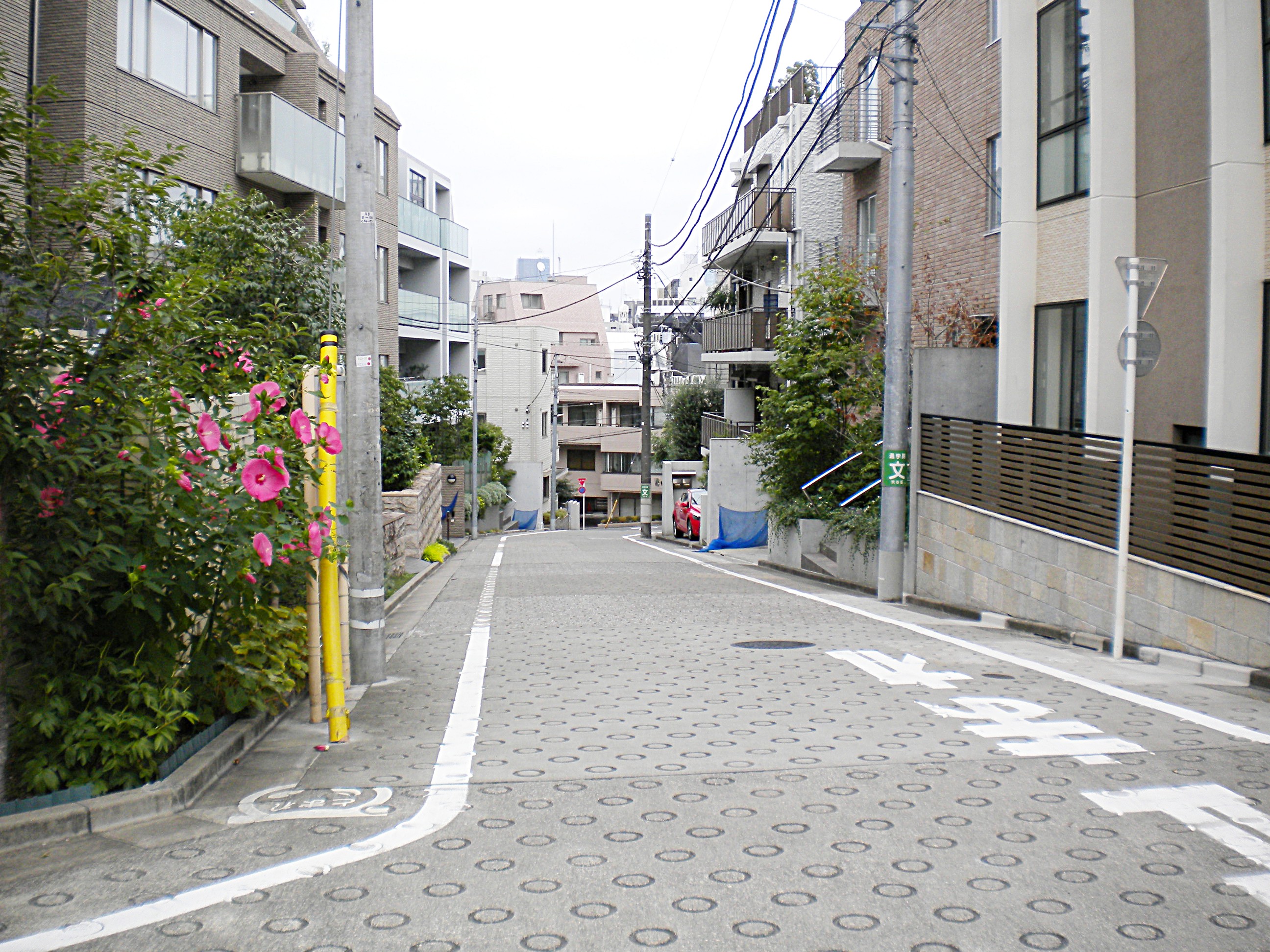 ホームズ 好感度バツグンの街 恵比寿 実際の住み心地は 住宅地としての実力をリアルに語る 住まいのお役立ち情報