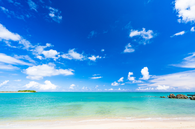 夏 海