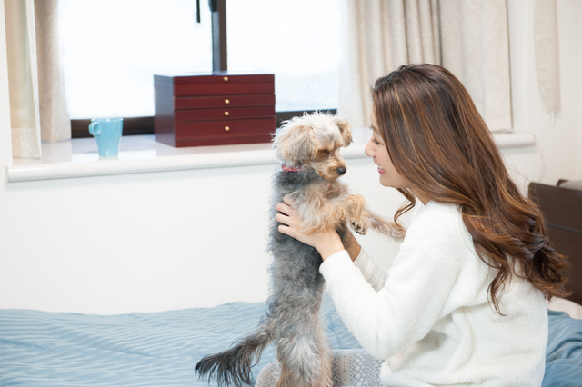 ホームズ 一人暮らしで犬を飼うときの心構えと注意点 住まいのお役立ち情報