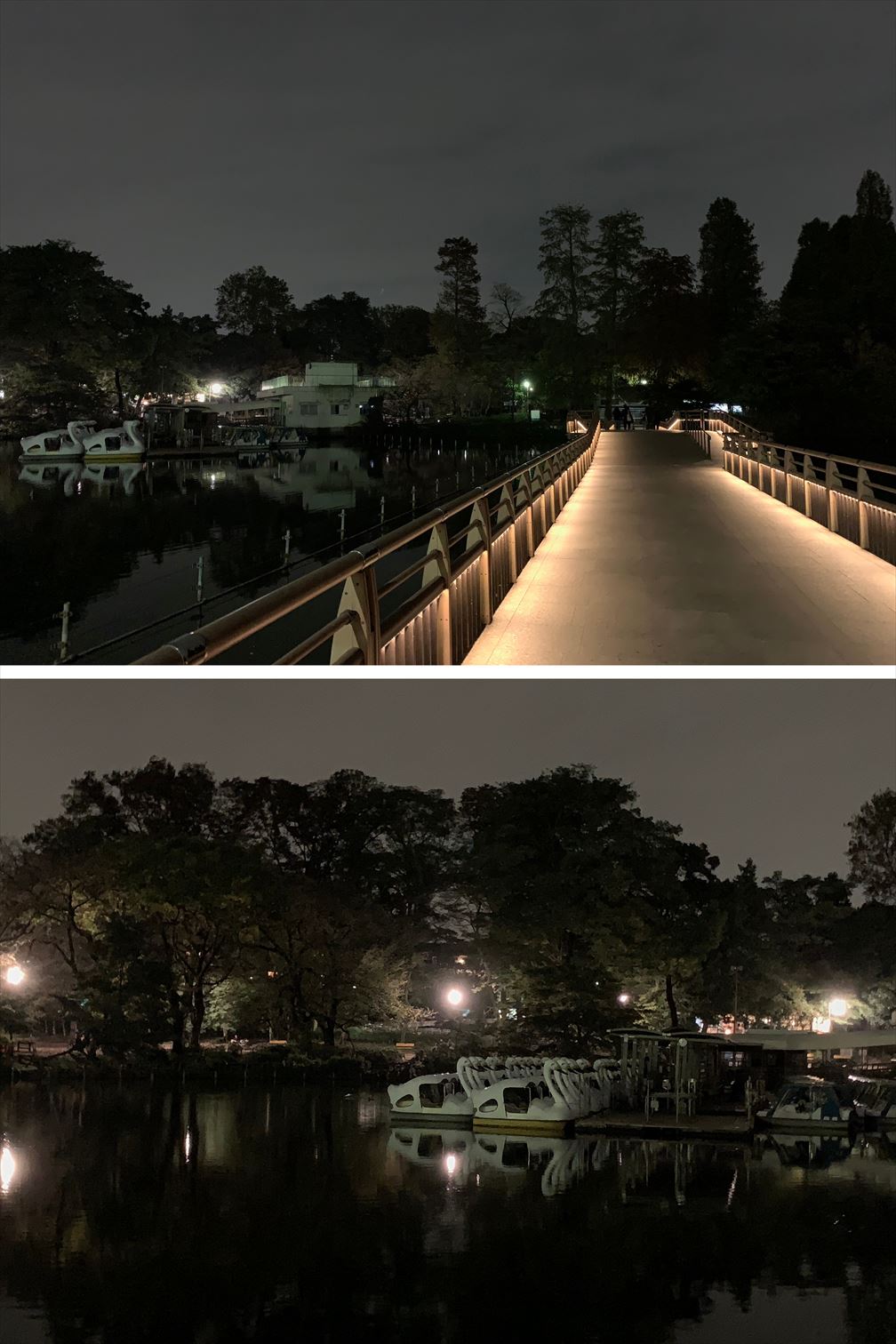 ホームズ 夜の街を歩く 吉祥寺 南町エリア 編 Vol 2 住まいのお役立ち情報