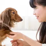 ペットと暮らす家のイメージ画像