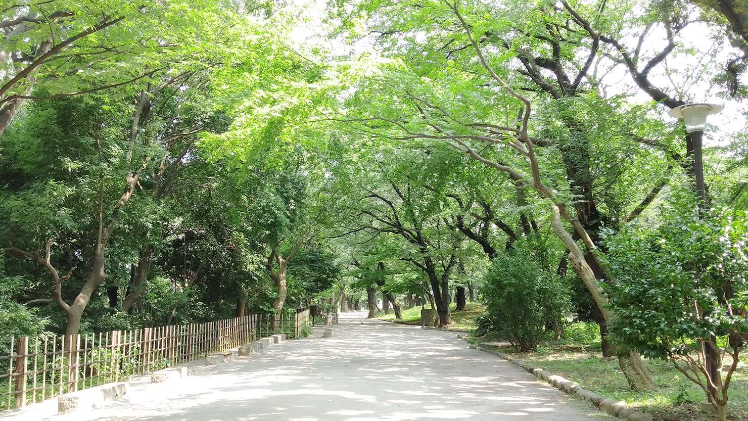 飛鳥山公園