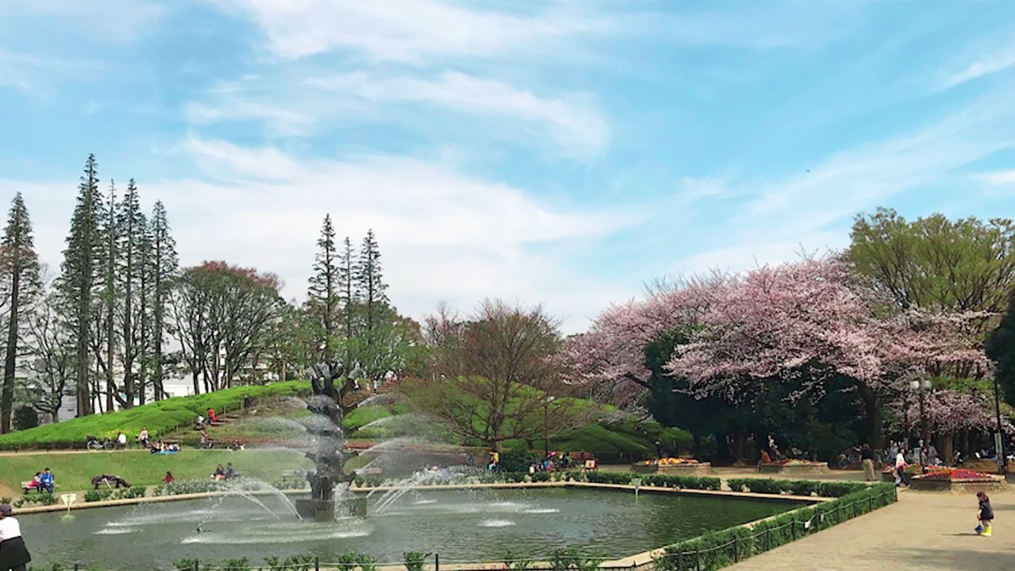 ホームズ おひとりさま公園ピクニック が好き リフレッシュはマイペースに 暮らし方から物件探し ホームズ おひとりさま公園ピクニック が好き リフレッシュはマイペースに 暮らし方から物件探し