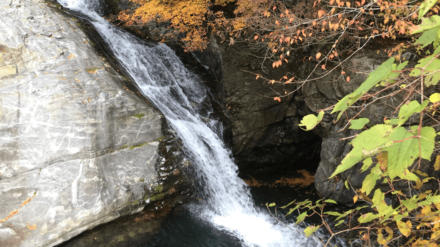 渓流 釣り 京都