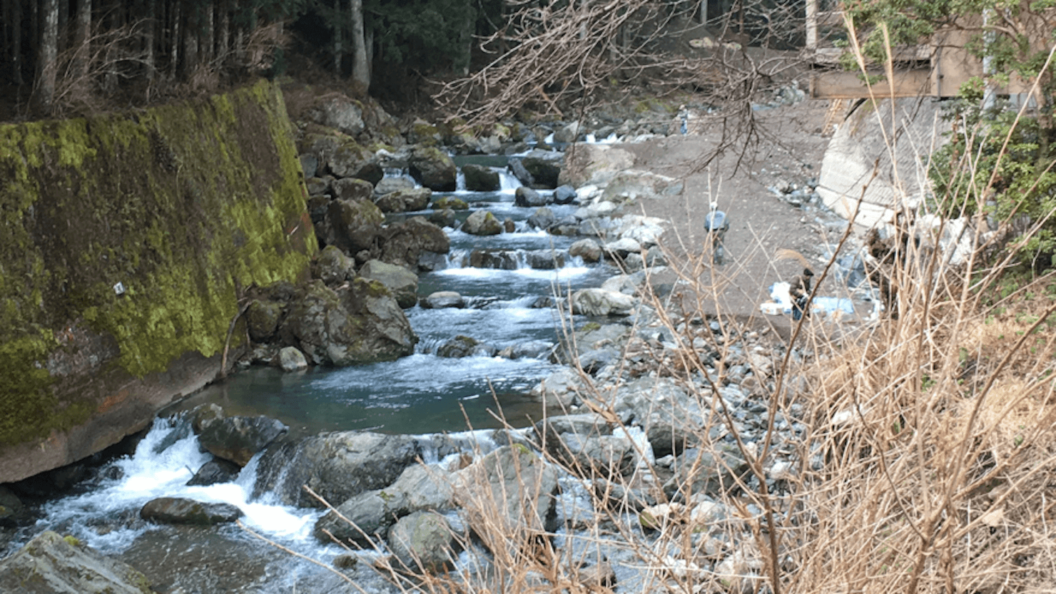 京都 渓流 釣り