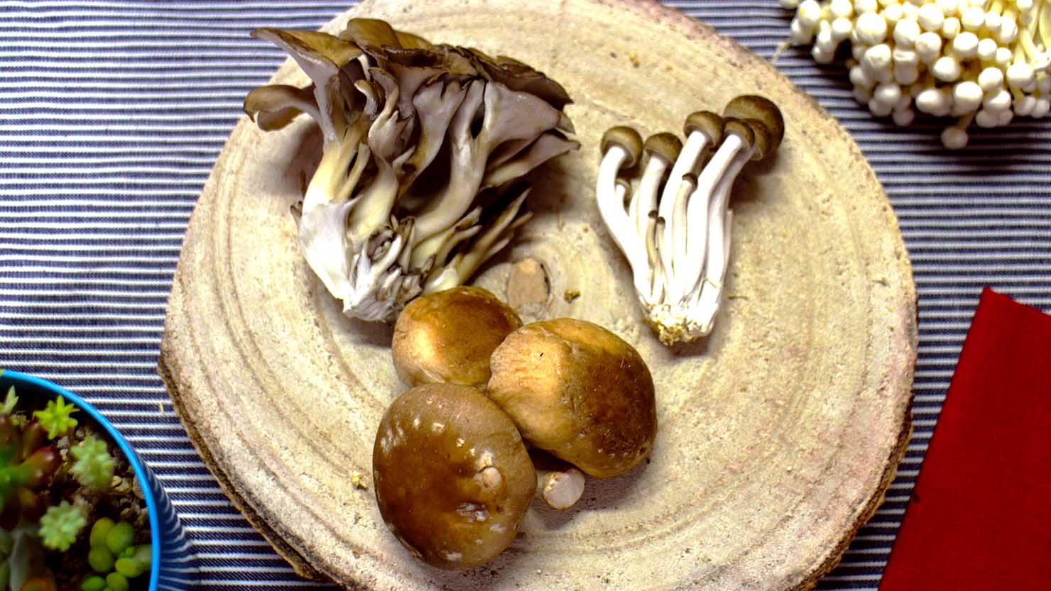ホームズ 食べてよし育ててよし きのこマニアの健康生活 暮らし方から物件探し