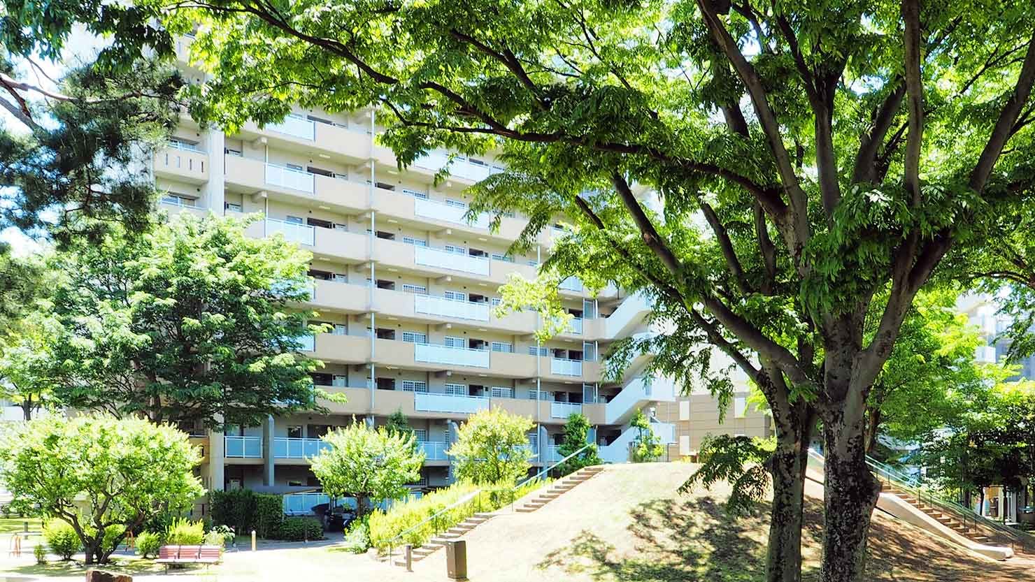 ひばりが丘パークヒルズ団地内写真