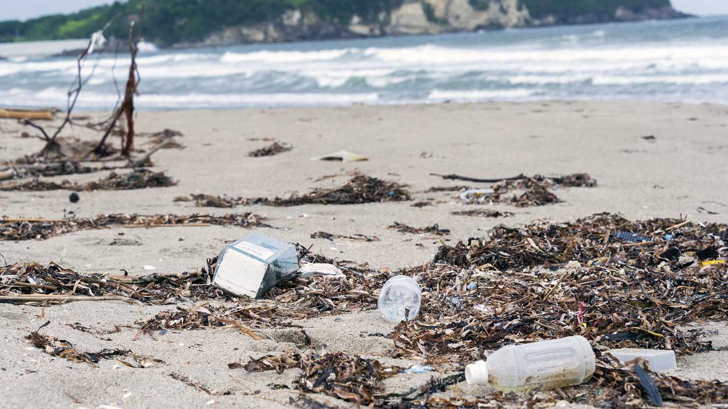 ホームズ 鎌倉ではじめる 地球に優しい暮らし 脱プラ生活のススメ 暮らし方から物件探し