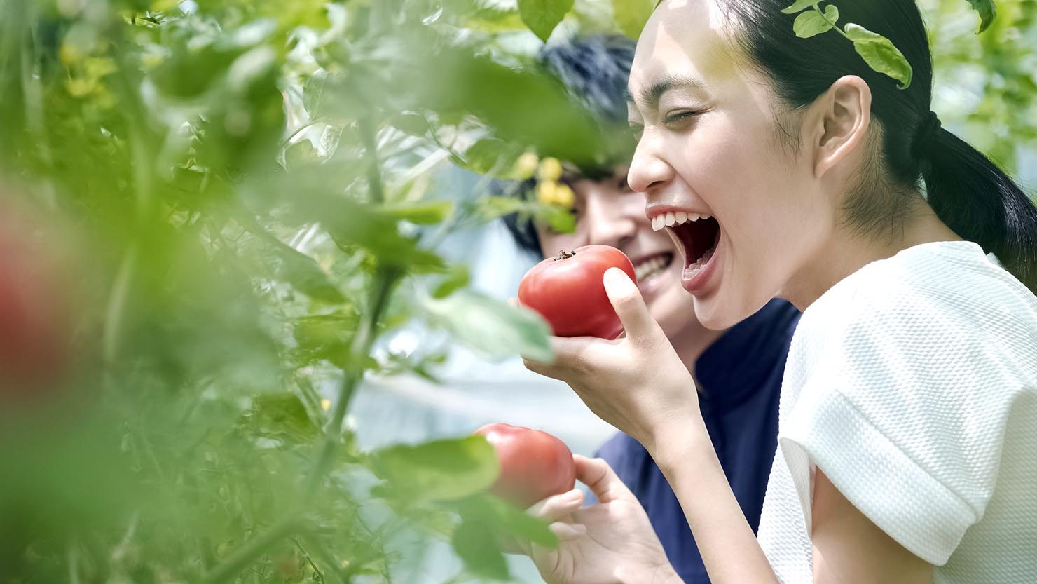 ホームズ 遠距離恋愛から結婚しました 仲を深めた お金をかけない素敵なデート5選 暮らし方から物件探し