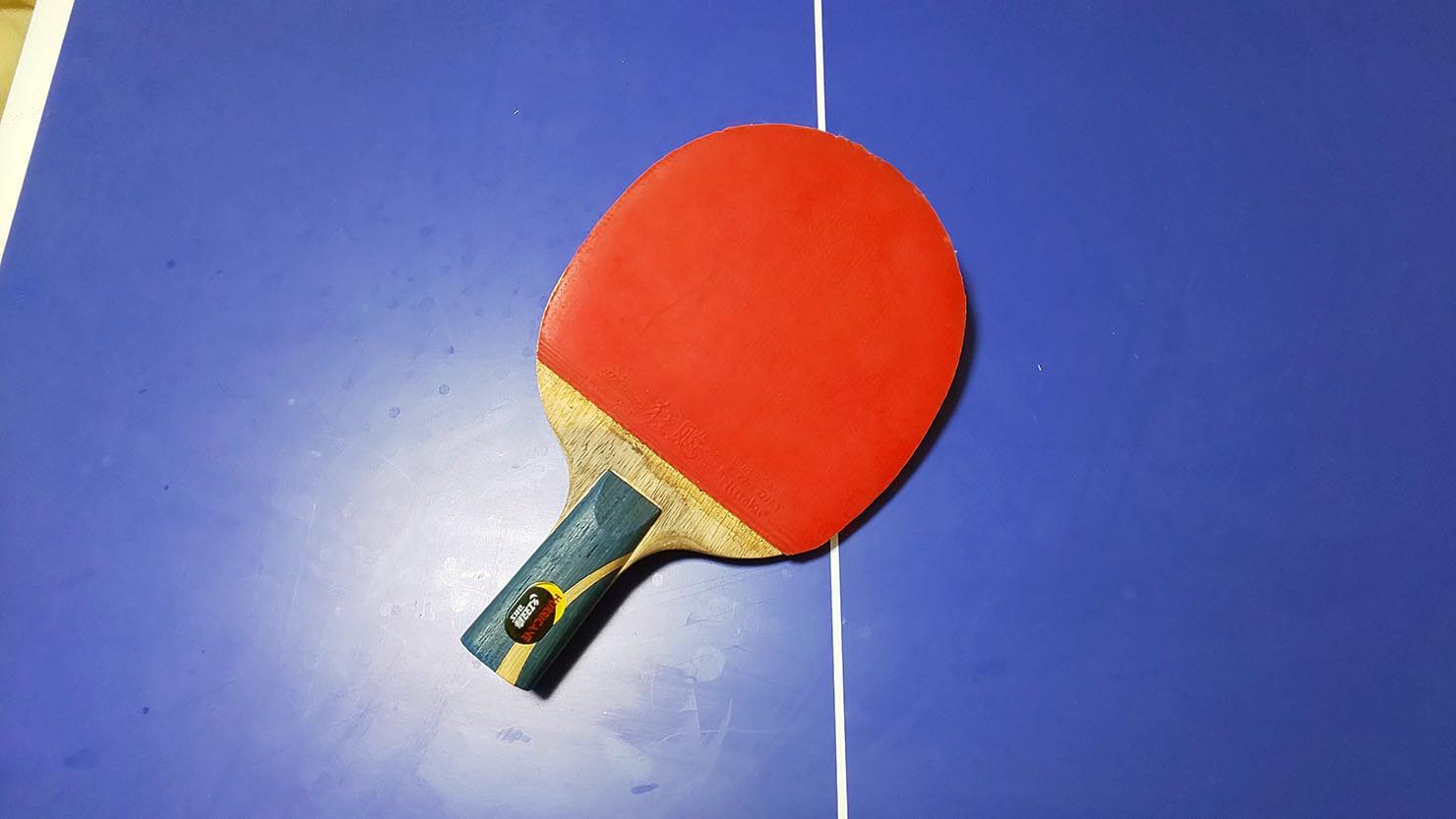 ホームズ 卓球家族が伝えたい おうち卓球は意外と簡単に楽しめる 暮らし方から物件探し ホームズ 卓球家族が伝えたい おうち卓球は意外と簡単に楽しめる 暮らし方から物件探し