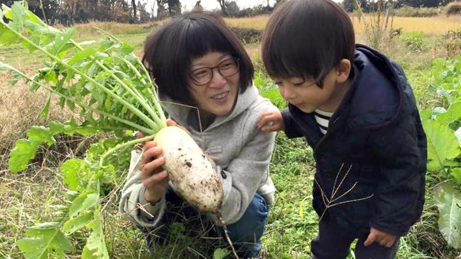 ホームズ 家庭菜園歴9年以上 失敗しやすい冬を乗り切る3つのコツとは 暮らし方から物件探し