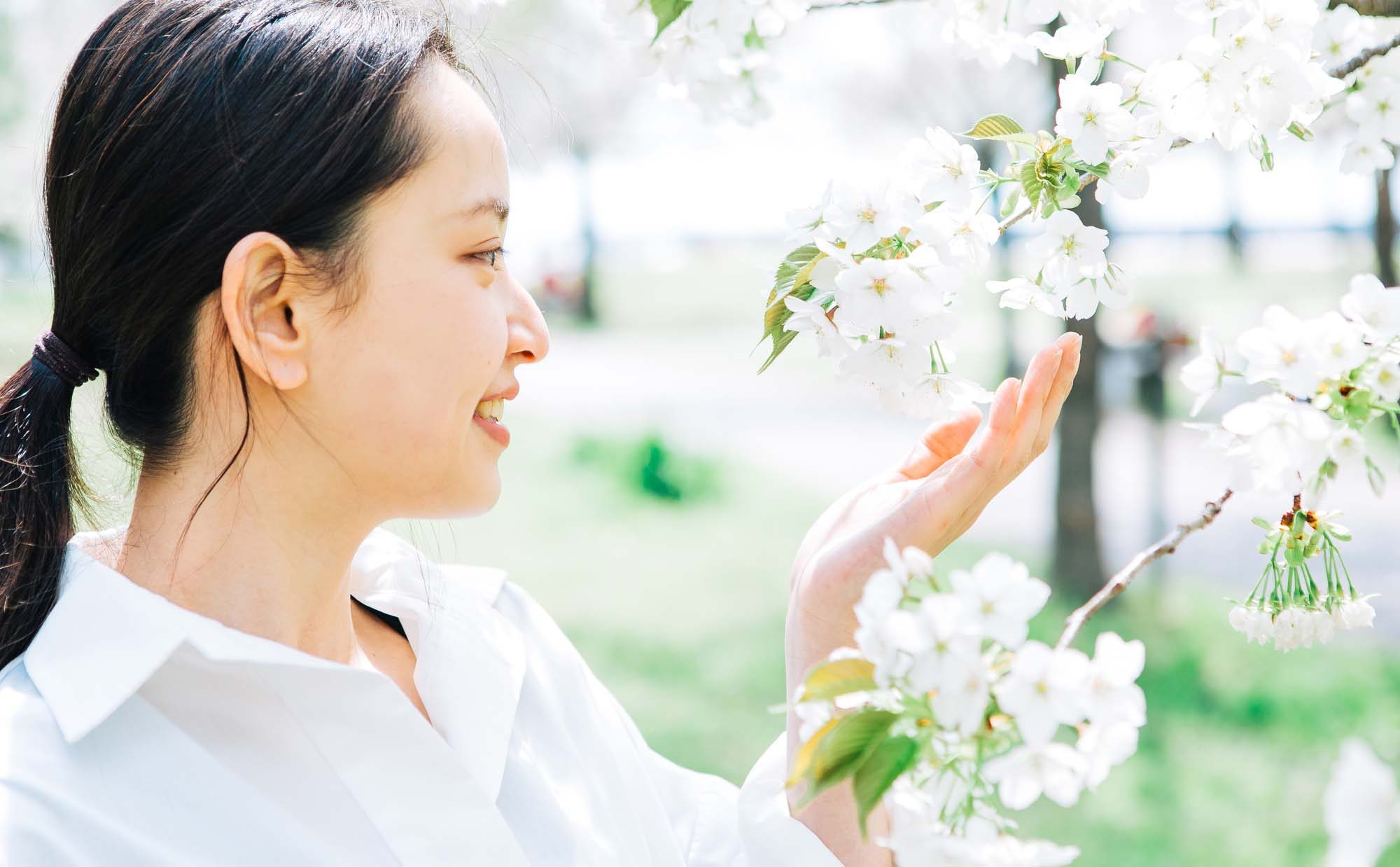 ホームズ 今年はおうち花見を満喫しよう 桜に合うおうちレシピ４選 暮らし方から物件探し