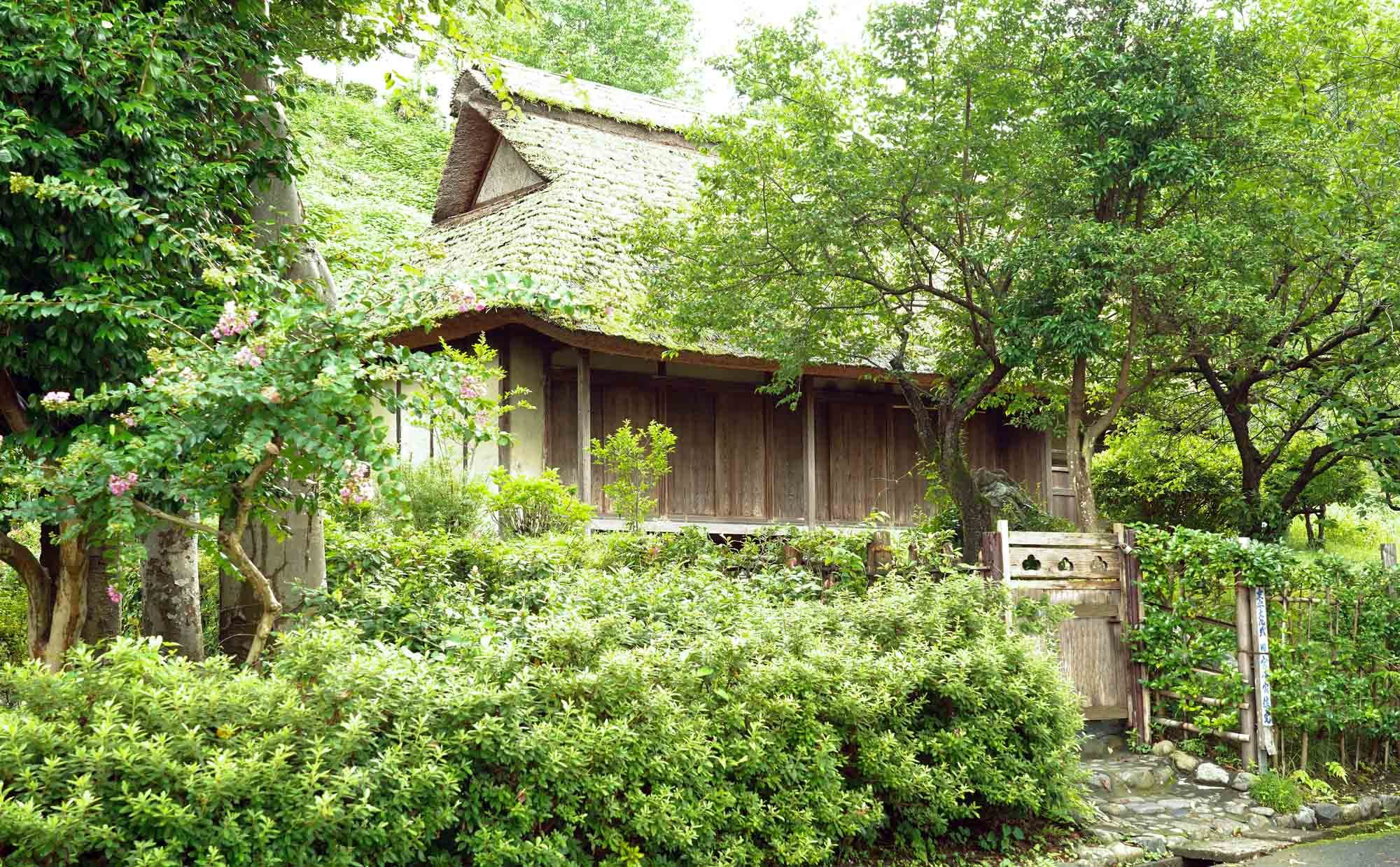 ホームズ 庭の恵みを満喫しよう 一戸建てに住むなら知っておきたい 庭木の剪定方法 暮らし方から物件探し ホームズ 庭の恵みを満喫しよう 一戸建てに住むなら知っておきたい 庭木の剪定方法 暮らし方から物件探し