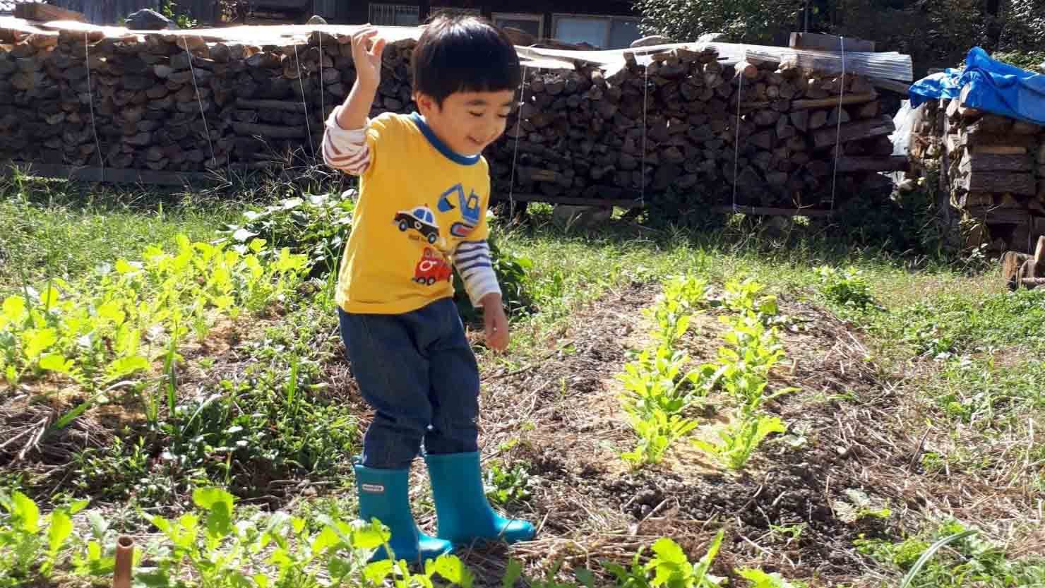 ホームズ 家庭菜園にぴったりの季節 初心者におすすめの野菜とその魅力 暮らし方から物件探し ホームズ 家庭菜園にぴったりの季節 初心者におすすめの野菜とその魅力 暮らし方から物件探し