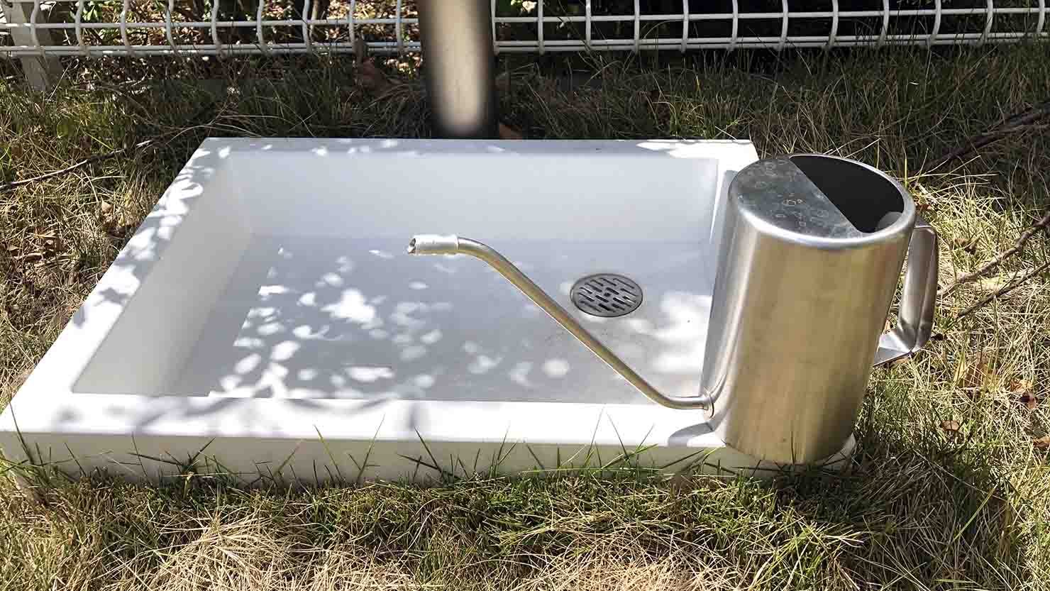 ホームズ 暑くても大丈夫 初夏におすすめの観葉植物と育て方のポイント 暮らし方から物件探し ホームズ 暑くても大丈夫 初夏におすすめの観葉植物と育て方のポイント 暮らし方から物件探し