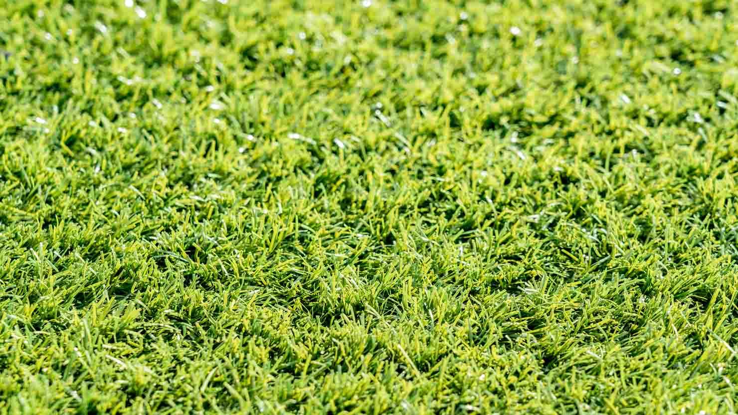 ホームズ 部屋に人工芝を敷くとこんなに快適 公園気分を味わえる敷き方や選び方 暮らし方から物件探し ホームズ 部屋に人工芝を敷くとこんなに快適 公園気分を味わえる敷き方や選び方 暮らし方から物件探し