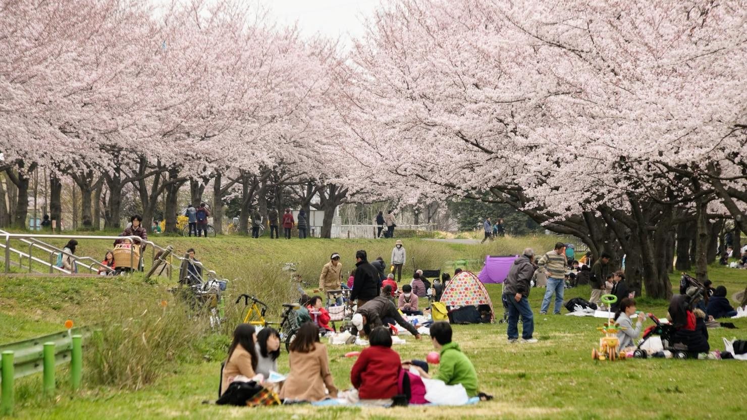 ホームズ 川越は1日遊べる大きな公園がいっぱい リアルな公園ライフをご紹介 暮らし方から物件探し