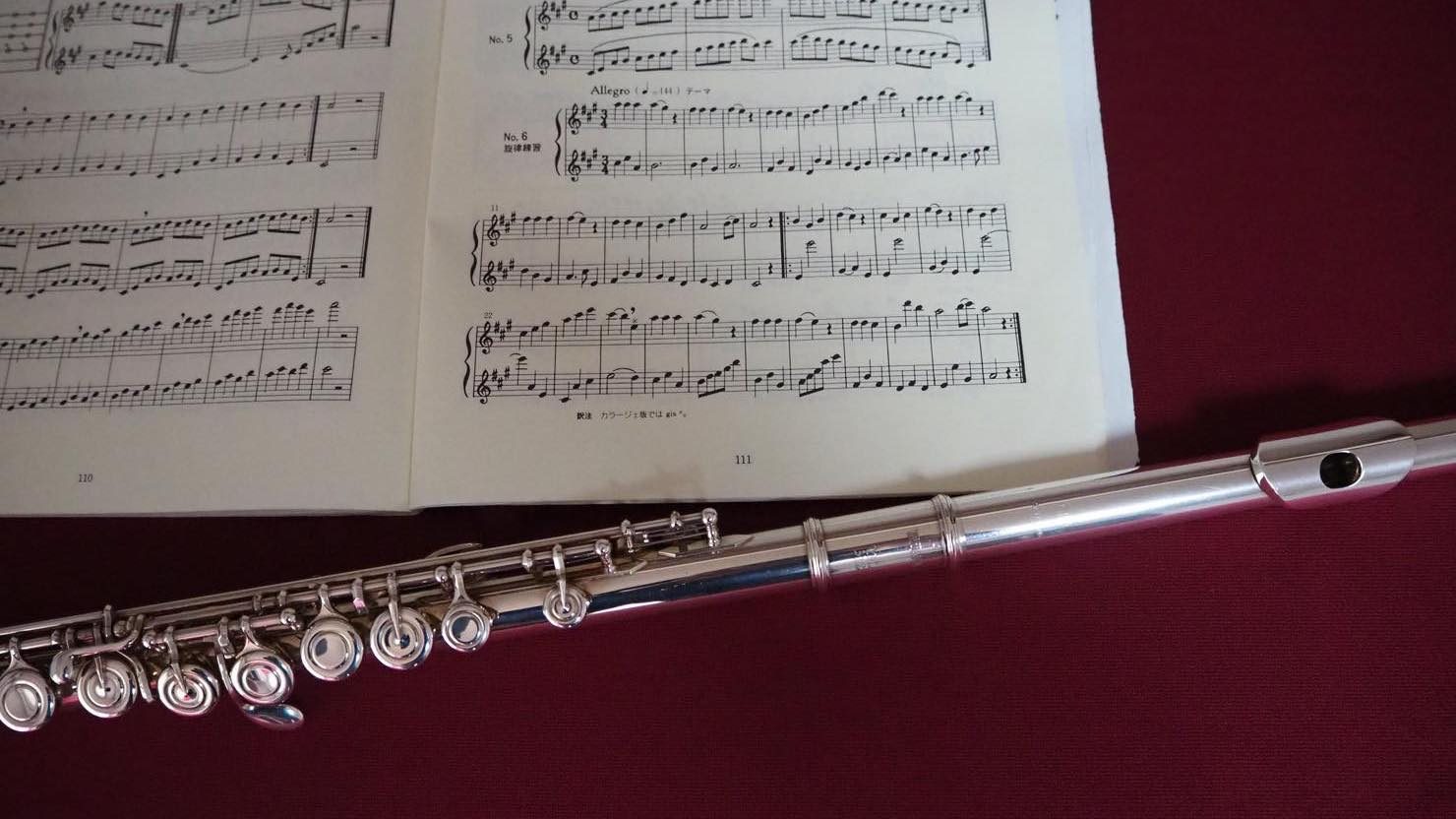 フルートは大人から始めやすい趣味 始め方やお手入れ方法 魅力の体験談 暮らし方から物件探し