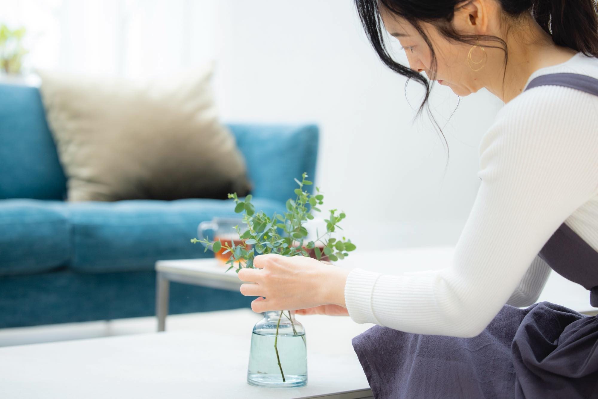 ホームズ 一人暮らしにおすすめの観葉植物は お手入れ方法と育て方まとめ 暮らし方から物件探し