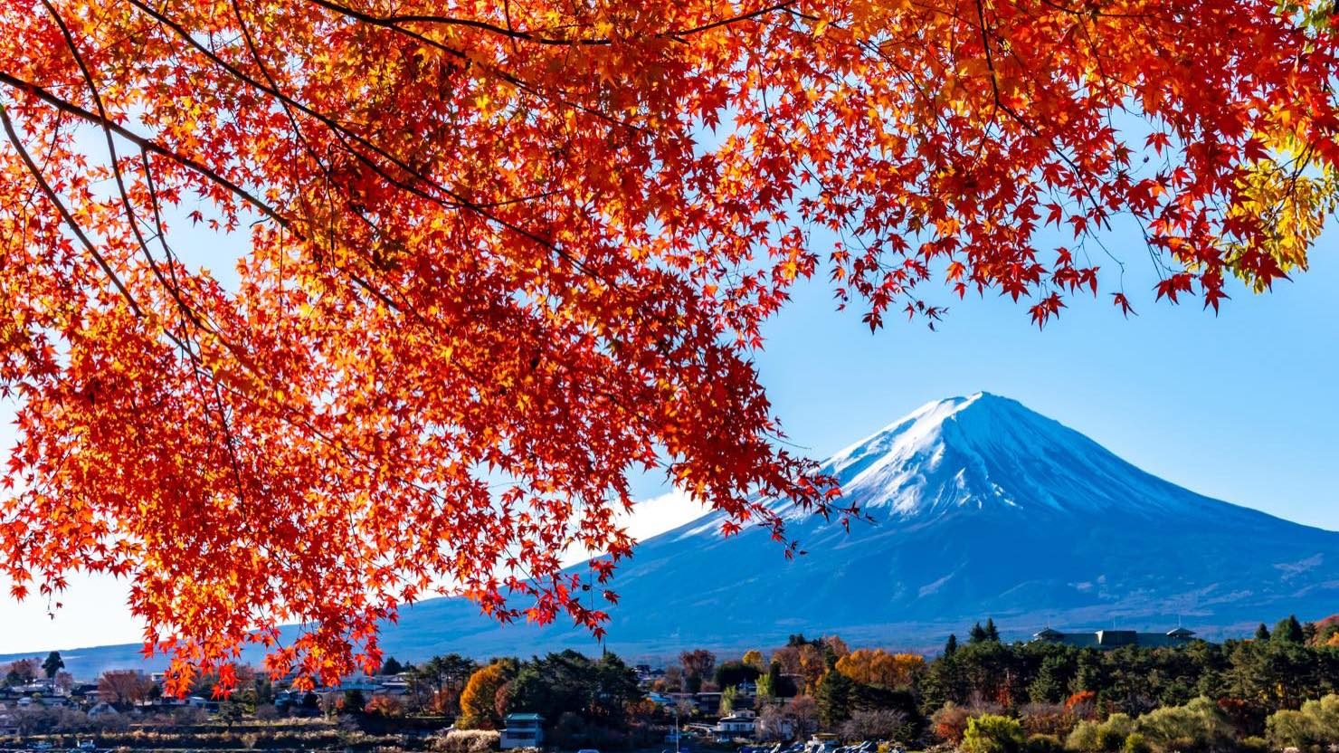 窓から富士山を望む暮らし 四季折々の富士山を眺めて暮らそう 暮らし方から物件探し