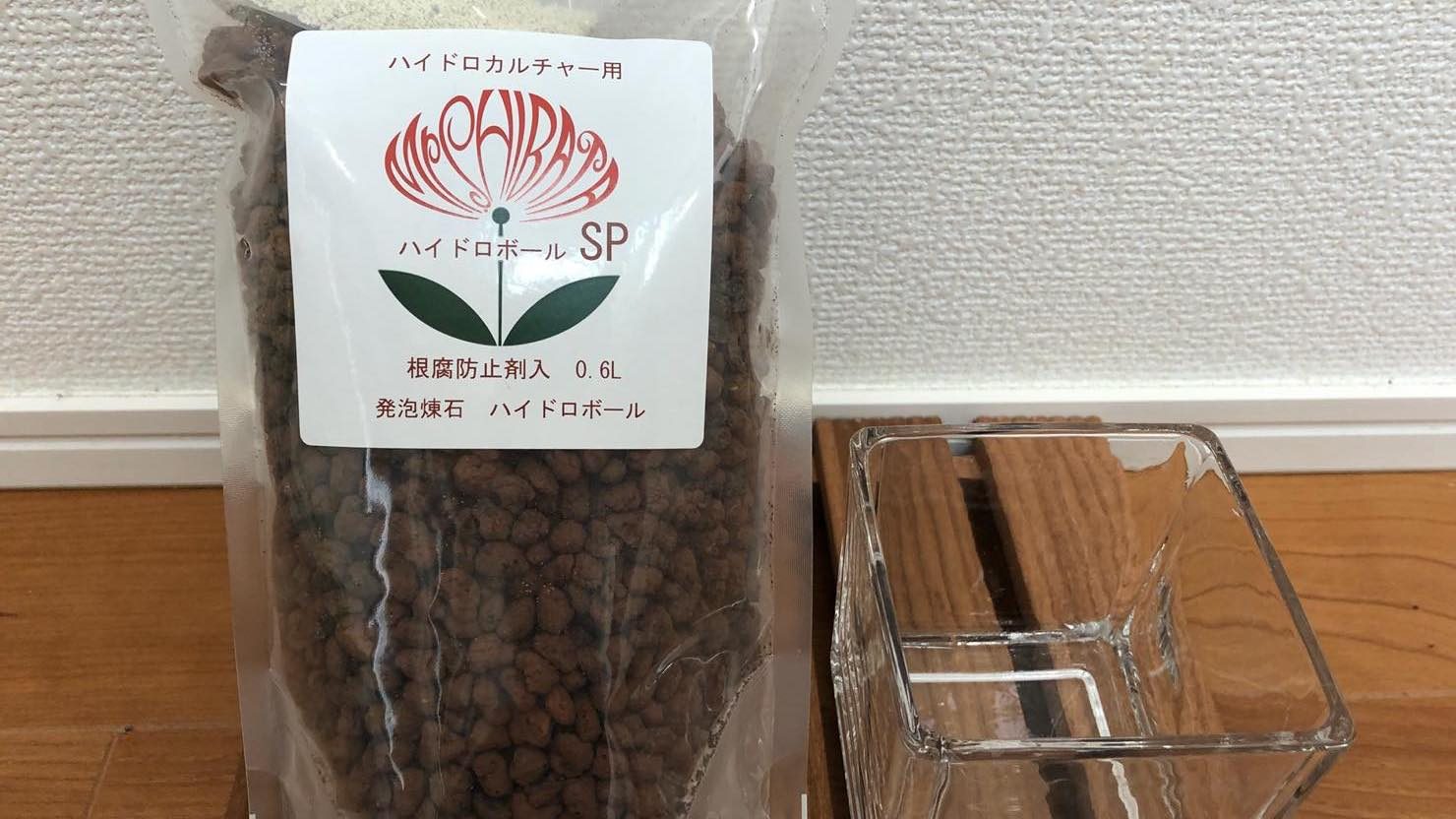ホームズ 観葉植物ポトスの育て方 水栽培 増やし方 長く育てるポイントをご紹介 暮らし方から物件探し