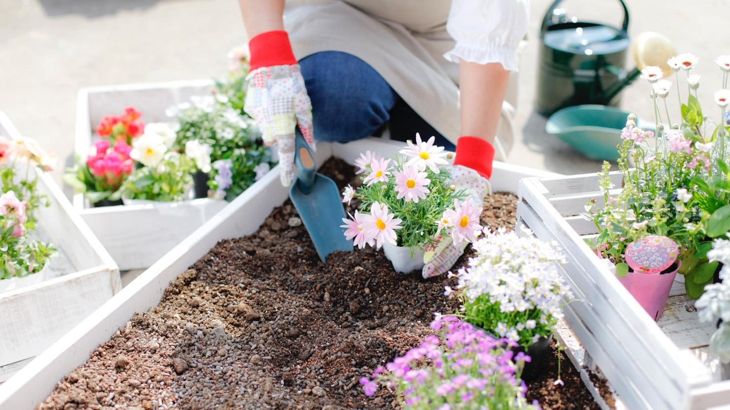 ホームズ おしゃれなミニ花壇を自宅で作ろう ミニ花壇におすすめの花と準備するもの 暮らし方から物件探し