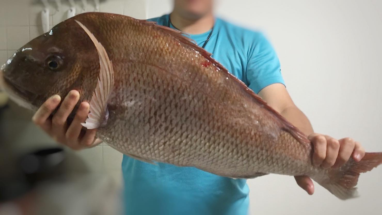 ホームズ 春に釣れる魚とおすすめの調理法 メバル 真鯛 真鯵など旬の味を楽しもう 暮らし方から物件探し
