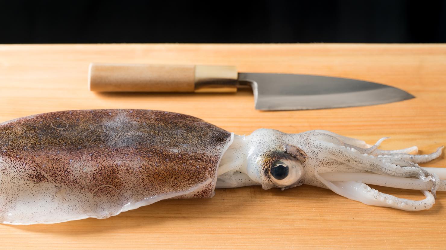 エギング超入門 イカの釣り方やおすすめの調理法を紹介 暮らし方から物件探し