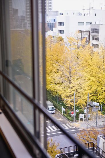 【リノベ暮らしな人々】室内から眺める銀杏並木 【リノベ暮らしな人々】室内から眺める銀杏並木